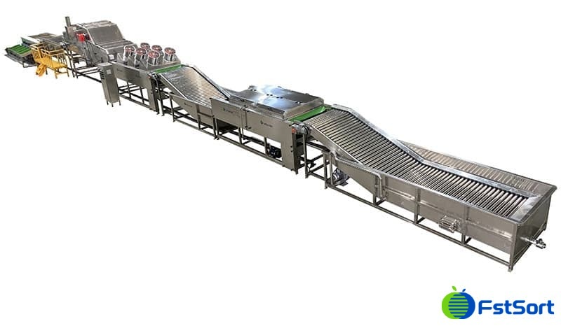 images/1737540249225Clasificadora clasificadora de batata.jpg